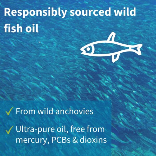 Aceite ultra puro de pescado salvaje Vegepa para salud cardiovascular