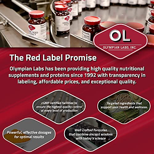 Version 1.0.0 Cápsulas ovaladas de acetil-L-carnitina