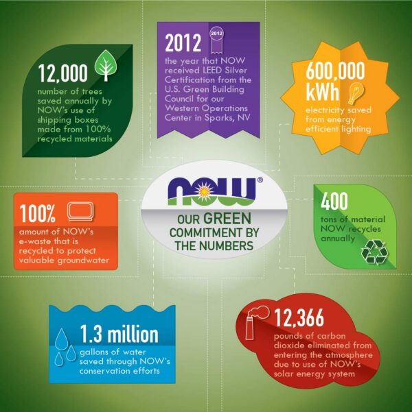 Cápsulas veganas Acetil-L-Carnitina 500 mg