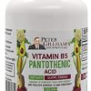 Version 1.0.0 Frasco de ácido pantoténico B5 Peter's Choice para energía