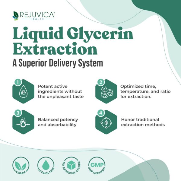 Version 1.0.0 Etiqueta de Active Adrenal