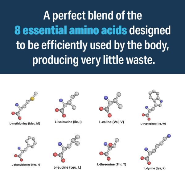 Etiqueta del envase Advanced Amino Powder