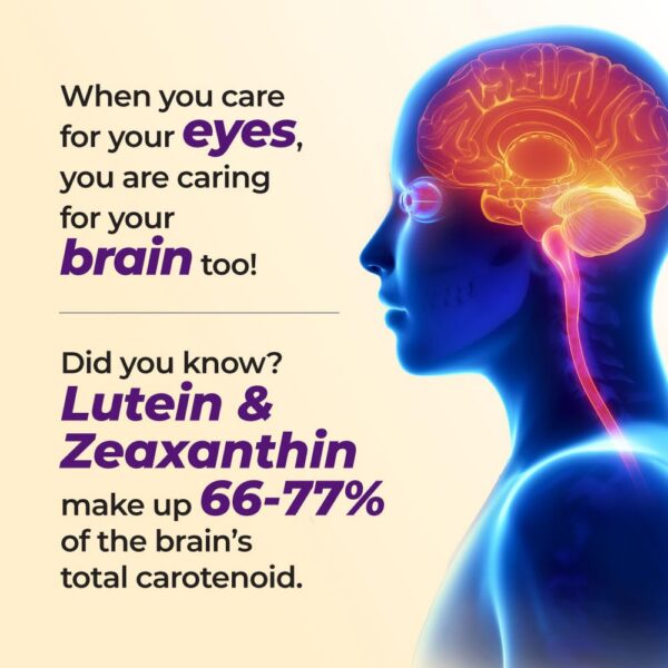 Frasco de cápsulas AFC Ultimate Vision 4X