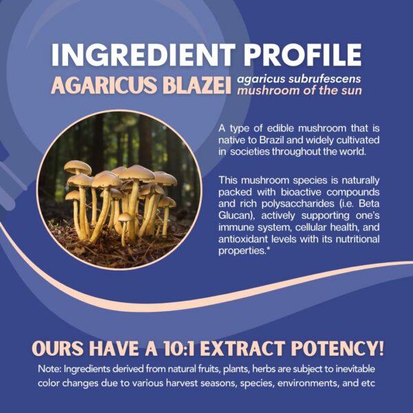Agaricus Blazei con 30% polisacáridos para bienestar