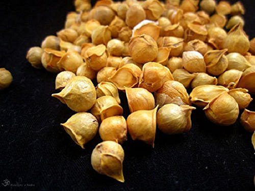 Ajo entero de la Montaña Nevada Kashmiri Ayurveda 250g