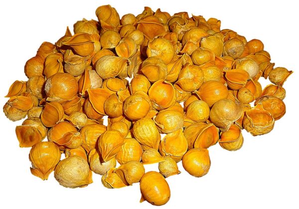 Ajo japonés individual natural listo para consumir