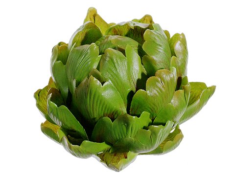 Alcachofa verde 4x4.25 pulgadas paquete de 12