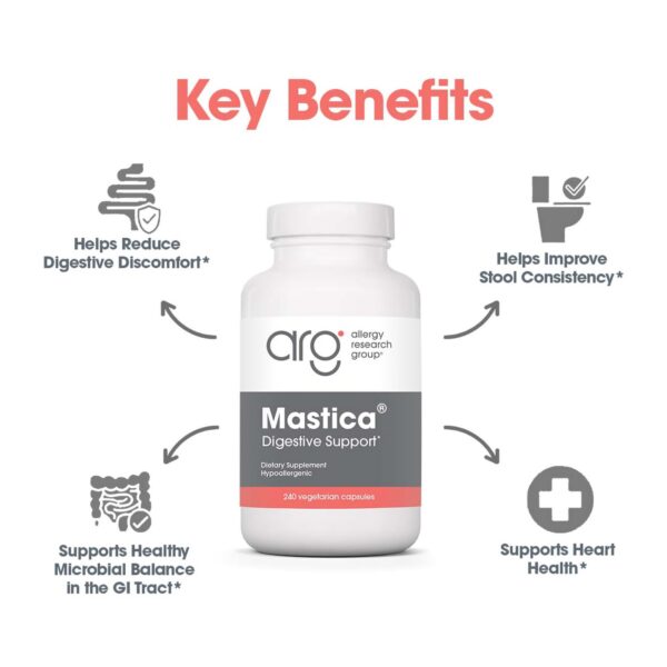 Etiqueta trasera del producto Mastica