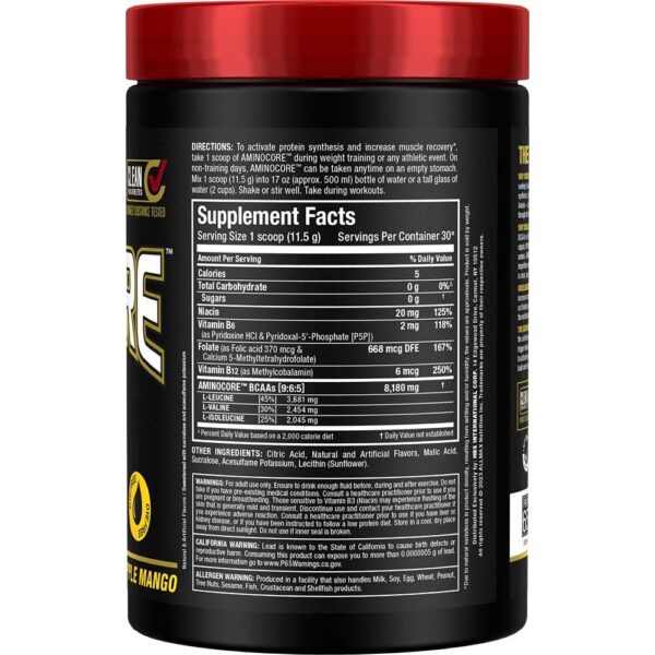 Version 1.0.0 Tapa y scoop de AMINOCORE BCAA