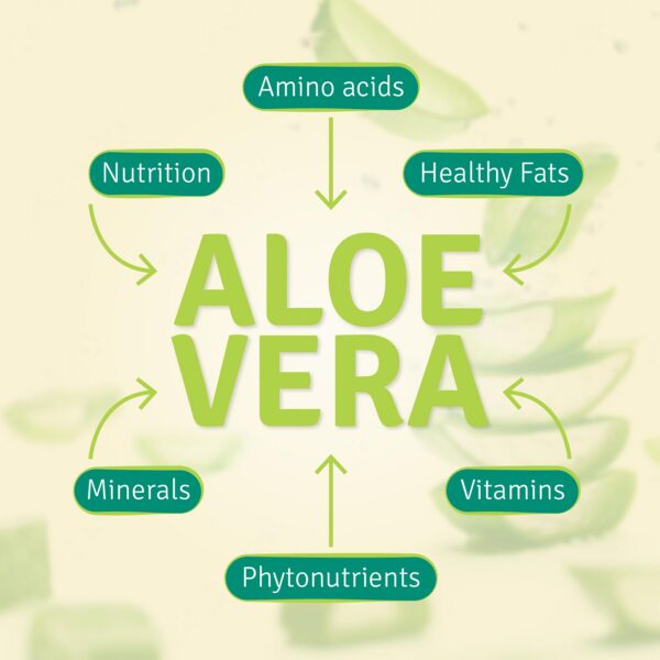 Jugo Aloe Life hoja entera orgánico para digestión y energía