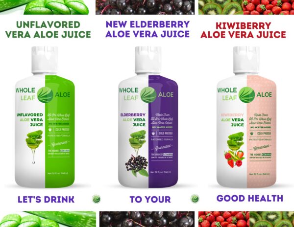 contenido concentrado aloe vera kiwi berry natural