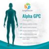 Caja del producto Alpha GPC verde
