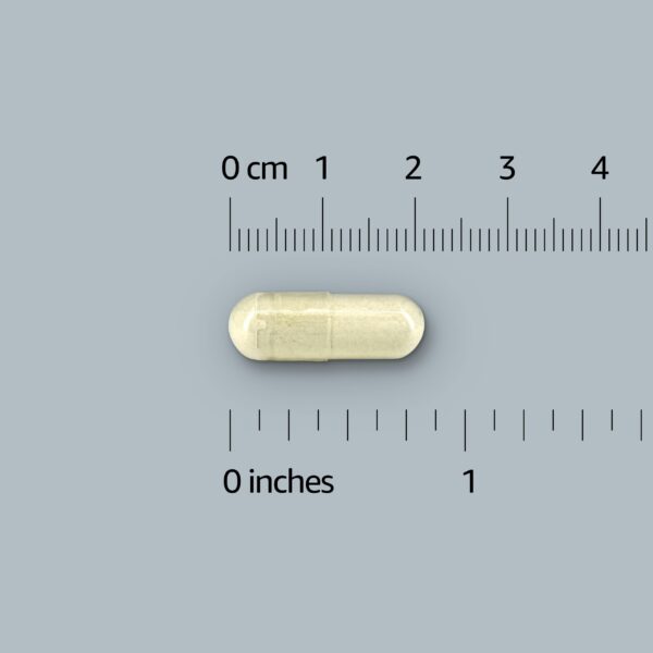 Etiqueta y envase Colágeno Amazon Elements