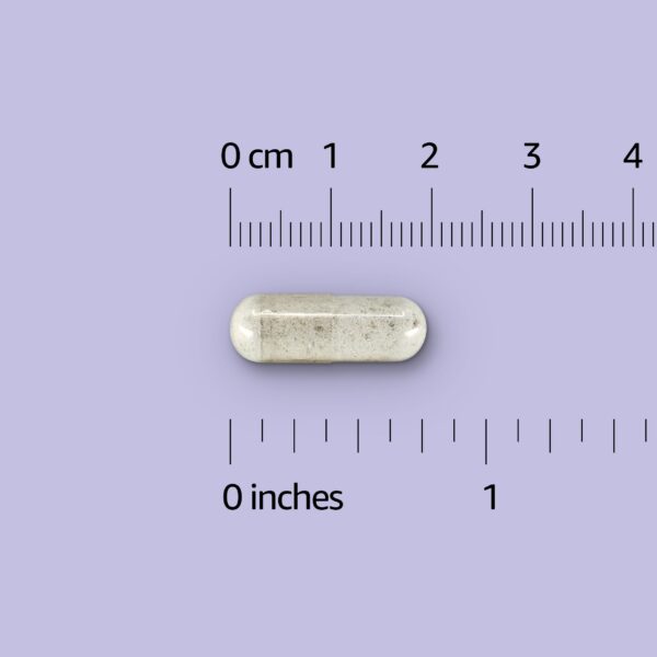 Etiqueta del producto Amazon Elements Digestive Enzyme Complex