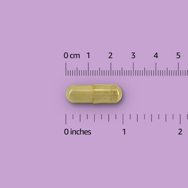 Etiqueta del envase Trans-Resveratrol