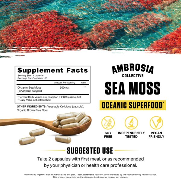 Ambrosia Sea Moss cápsulas veganas