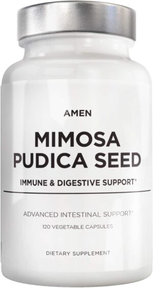 Amen cápsulas semillas mimosa pudica orgánicas producto