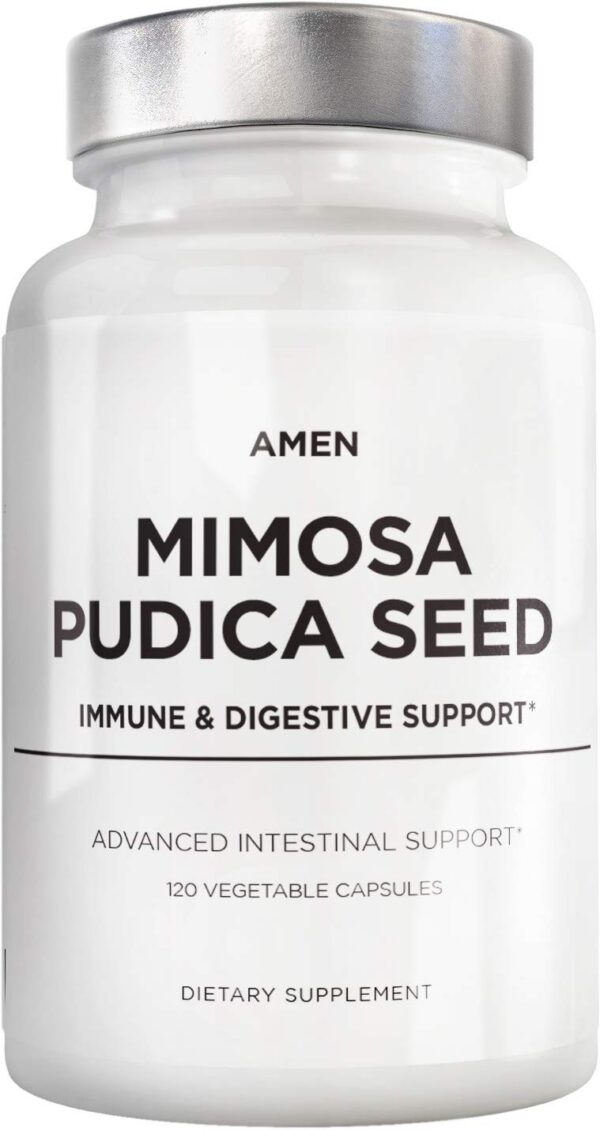 Amen cápsulas semillas mimosa pudica orgánicas producto