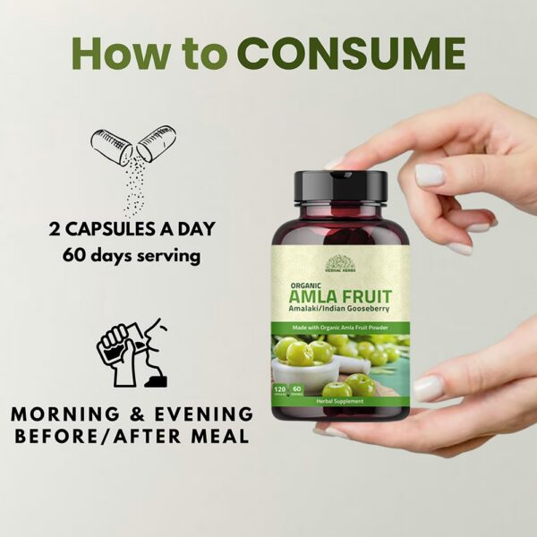 Version 1.0.0 Frasco de amla capsules cierre