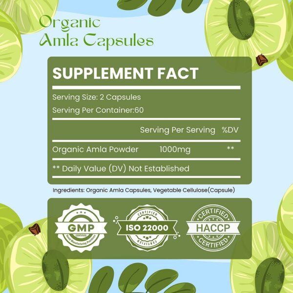 Version 1.0.0 Etiqueta de ingredientes de amla cápsulas