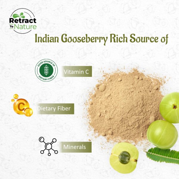 Version 1.0.0 Etiqueta del producto amla powder