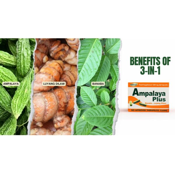 Version 1.0.0 Ampalaya Plus suplemento herbal orgánico cápsulas 120 unidades