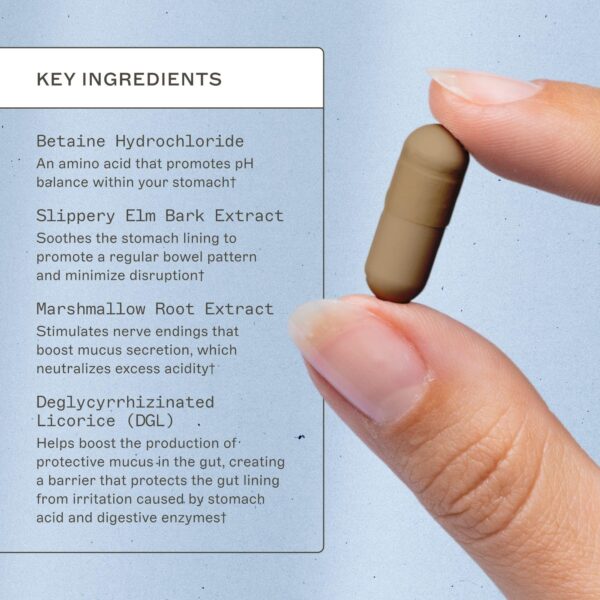 Envase de Adrenal Support