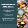 Ancient Nutrition cúrcuma con probióticos para salud intestinal
