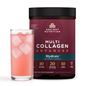 Version 1.0.0 Frasco de Ancient Nutrition Hydrate Colágeno Frutos Rojos