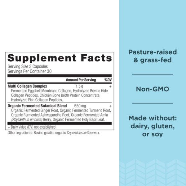 Version 1.0.0 Etiqueta del frasco con información