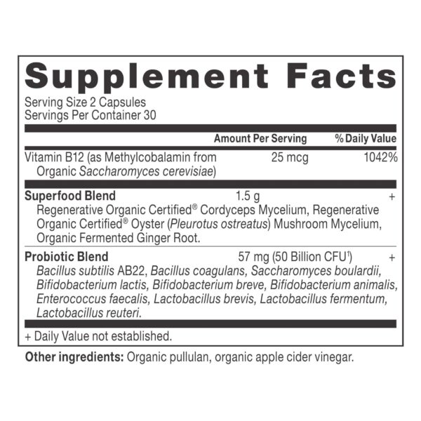 Cordyceps y jengibre fermentado en probióticos
