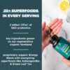 Ancient Nutrition Supergreens Energizer empaque