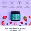 Ancient Nutrition SuperGreens ingredientes organiz
