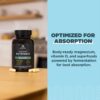 Version 1.0.0 Mezcla TCM de Ancient Nutrition