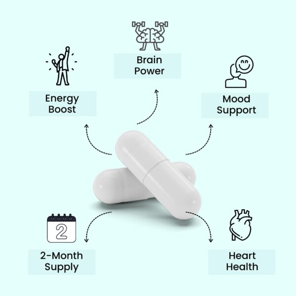 Version 1.0.0 Cierre de tapa Angelic B Active