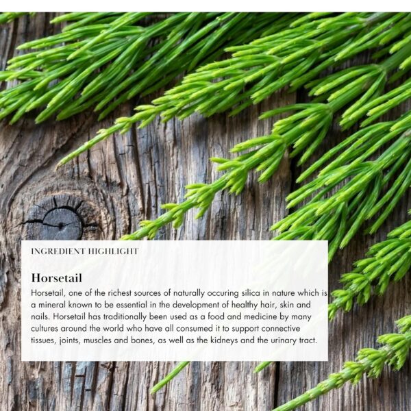 Version 1.0.0 Envase de polvo vegano de 5 onzas