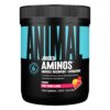 Animal Juiced Aminos frasco estilo deportivo