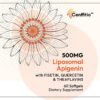 Version 1.0.0 Apigenina liposomal para estrés y sueño