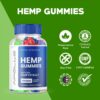 Etiqueta de Apollo Hemp Gummies