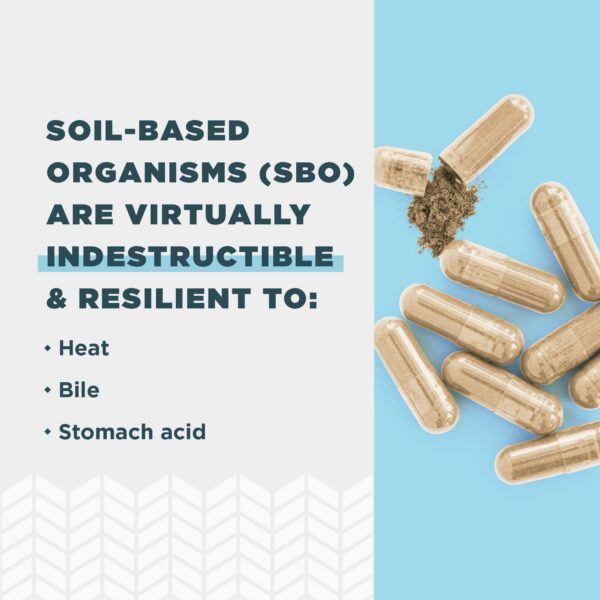 Apoyo digestivo e inmunológico