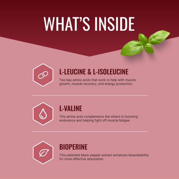 Version 1.0.0 Etiqueta de Approved Science BCAA