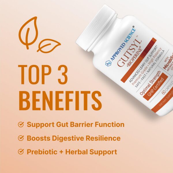 Detalle de aloe vera y otras plantas