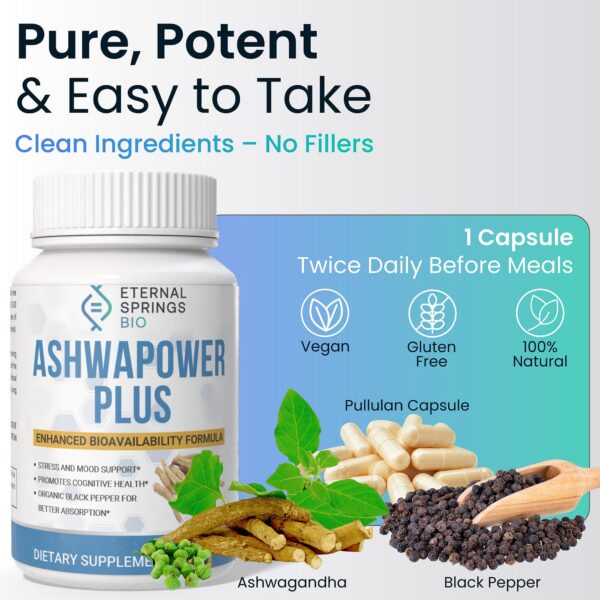 Interior de la caja AshwaPower Plus