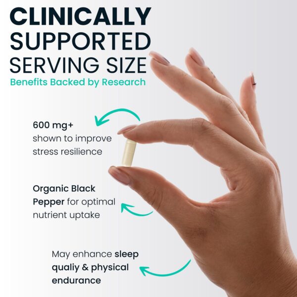 Etiqueta de AshwaPower Plus