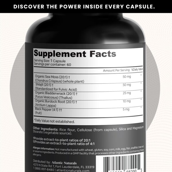Atlantic Naturals cápsulas con musgo irlandés y shilajit