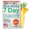 Frontal del envase Atlantic Naturals Sea Moss Pineapple 14 oz