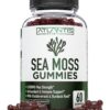 Version 1.0.0 Atlantis Nutrition Irish Sea Moss gomitas - vista frontal