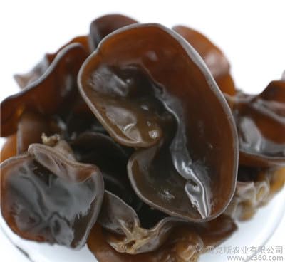 Oreja de Judas Auricularia Auricula-judae en cultivo