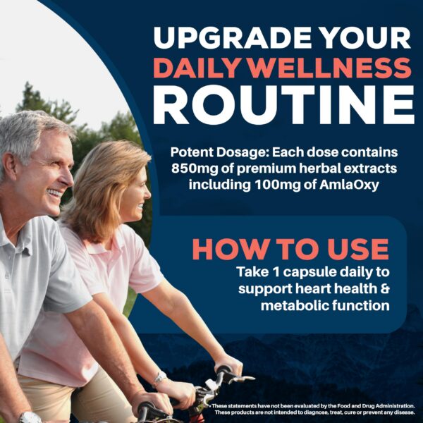 Version 1.0.0 Frasco y cápsulas vegetarianas