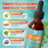 Version 1.0.0 Detalle botella suplemento Sea Moss 15 en 1 B BEWORTHS